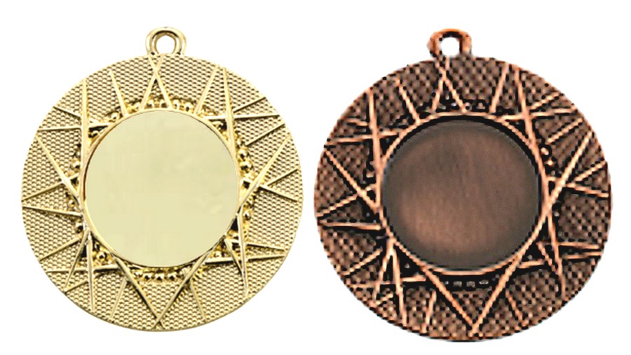 E 4005 Medaille Goud-Brons compleet OP=OP!!